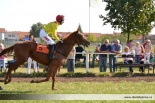 Fotogalerie